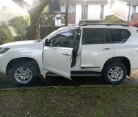 toyota-prado-2013-small-0