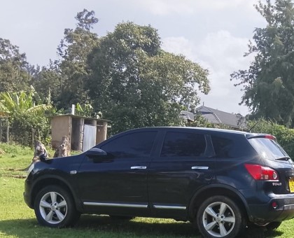 Nissan dualis 2010