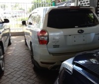 subaru-forester-small-4