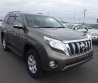 toyota-landcruser-prado-small-0