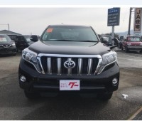 toyota-prado-small-0