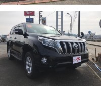 toyota-prado-small-6