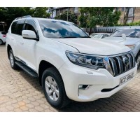 toyota-prado-small-1