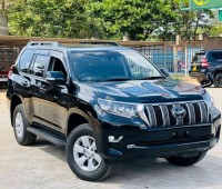 toyota-prado-small-1