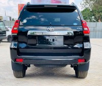 toyota-prado-small-2