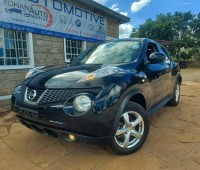 nissan-juke-small-1