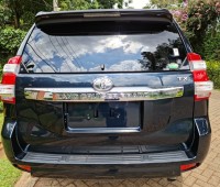 toyota-land-cruiser-prado-small-2