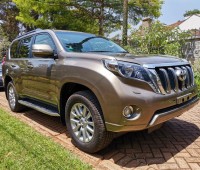 toyota-landcruiser-prado-small-0