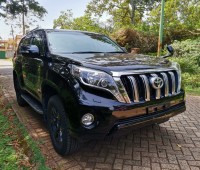 toyota-landcruiser-prado-small-0