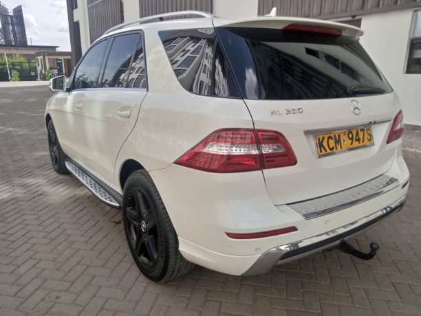 mercedes-benz-ml350-big-1