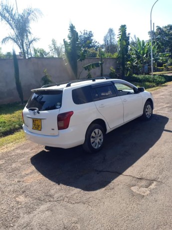 toyota-fielder-big-1