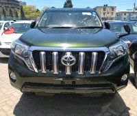 toyota-prado-small-0