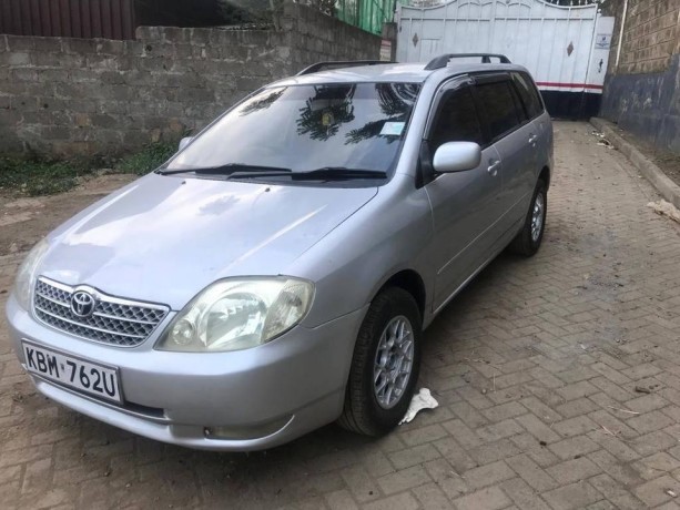 toyota-fielder-big-0