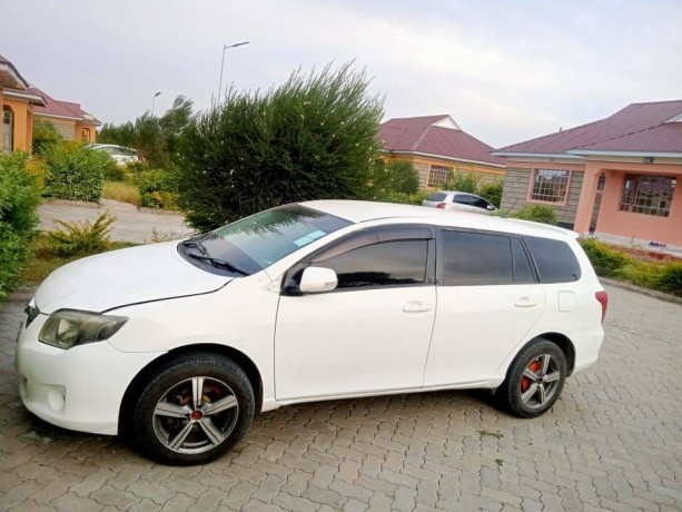 toyota-fielder-big-0