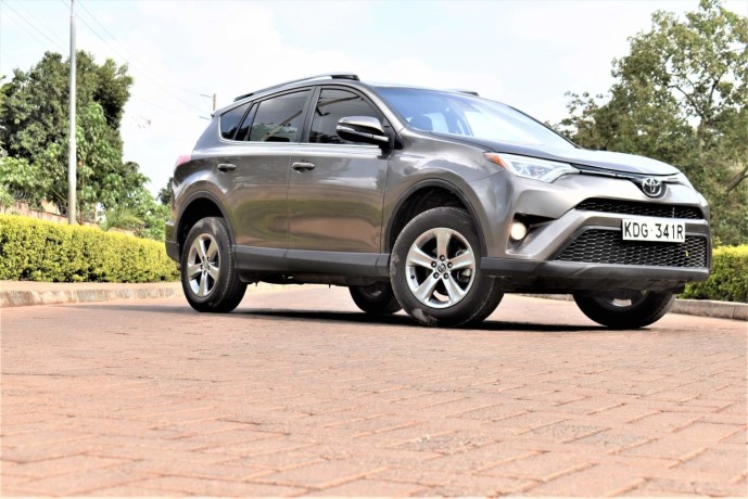 toyota-rav-4-big-2