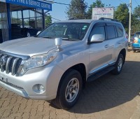 toyota-prado-small-1