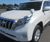 toyota-landcruiser-small-0