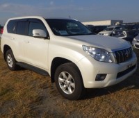 toyota-prado-small-0