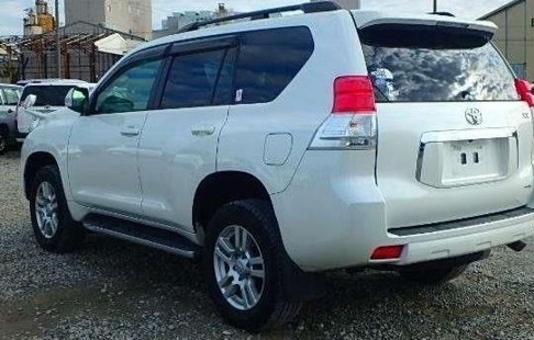 toyota-prado-big-1