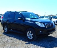 toyota-prado-small-0