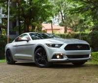 ford-mustang-small-3