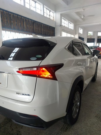 lexus-nx300h-big-2