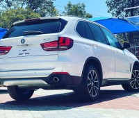 bmw-x5-small-2