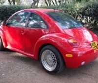 volkswagen-beetle-small-3