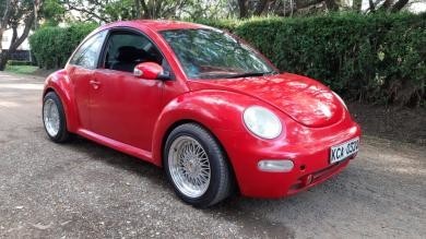 volkswagen-beetle-big-2