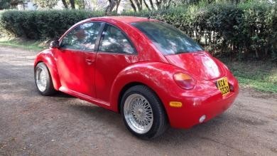 volkswagen-beetle-big-3