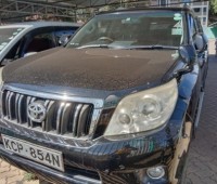 toyota-prado-small-2