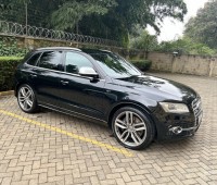 audi-sq5-2015-small-0