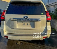 2018-toyota-prado-tzg-small-1