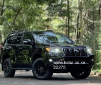 2021-toyota-prado-txl-small-8