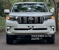 2019-toyota-prado-txl-small-6