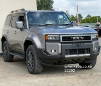 2024-toyotalandcruiser-zx-j250-small-8