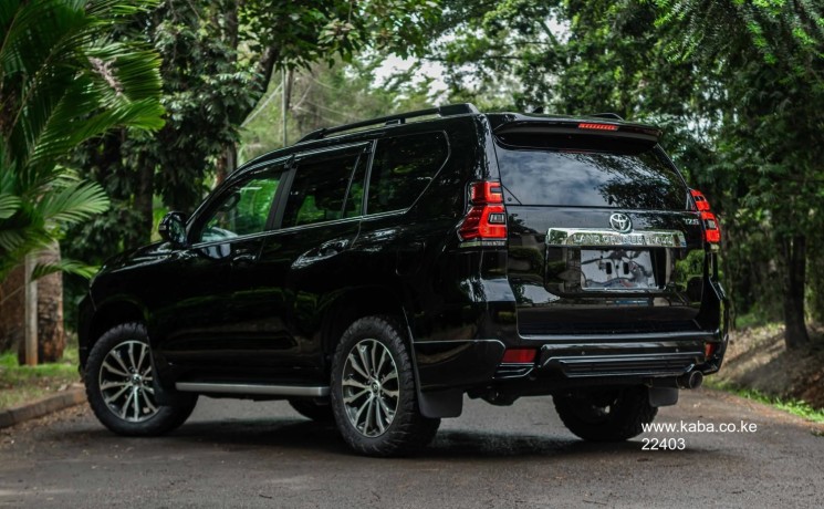 2019-toyota-prado-tzg-big-2