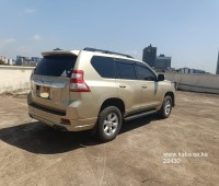 toyota-land-cruiser-prado-tx-small-2