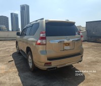 toyota-land-cruiser-prado-tx-small-4