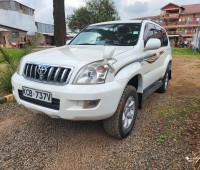 toyota-prado-small-2