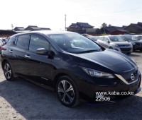 nissan-leaf-2019-eg-small-1