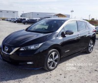 nissan-leaf-2019-eg-small-0