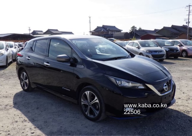 nissan-leaf-2019-eg-big-1