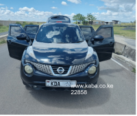 clean-nissan-juke-small-0