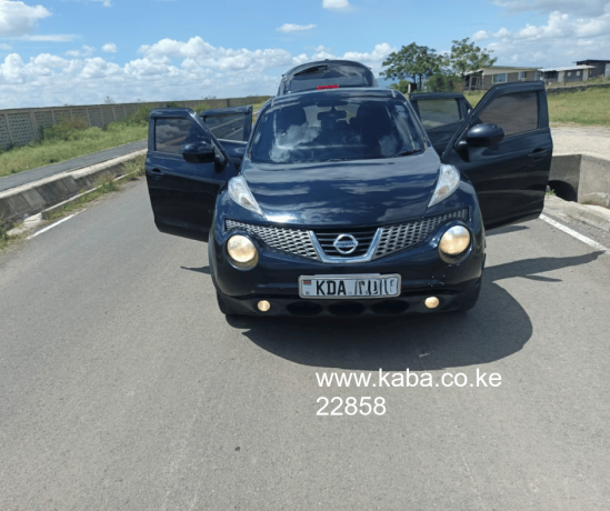 clean-nissan-juke-big-4