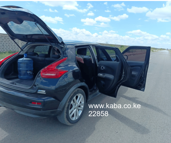 clean-nissan-juke-big-1