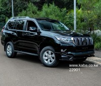 landcruiser-prado-j150-small-0