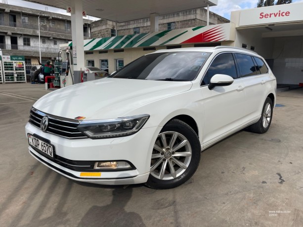 volkswagen-passat-big-2