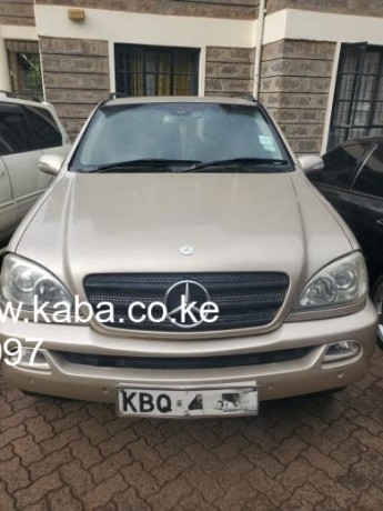 2004-mercedes-benz-ml350-big-0