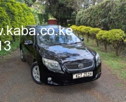 2011 Toyota Fielder